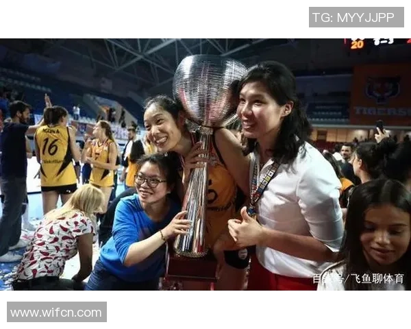 武汉排球队实力解析大满贯点评展现球队风采与潜力