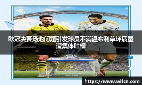 bsports必一