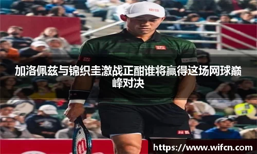 bsports必一体育